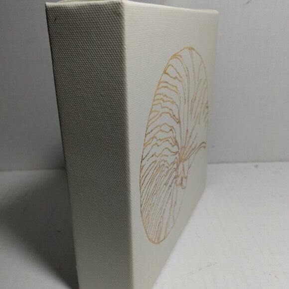 Coastal Breeze Shell Art Print Anne Tavoletti On Canvas ~ Sea Shell - Picture 2 of 5